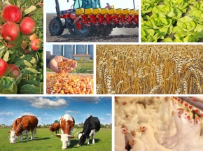 Publication on the workshop on nutrition